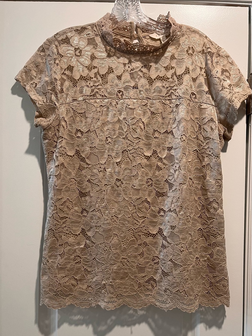 Adiva Neutral  Lace Cap Sleeve Top